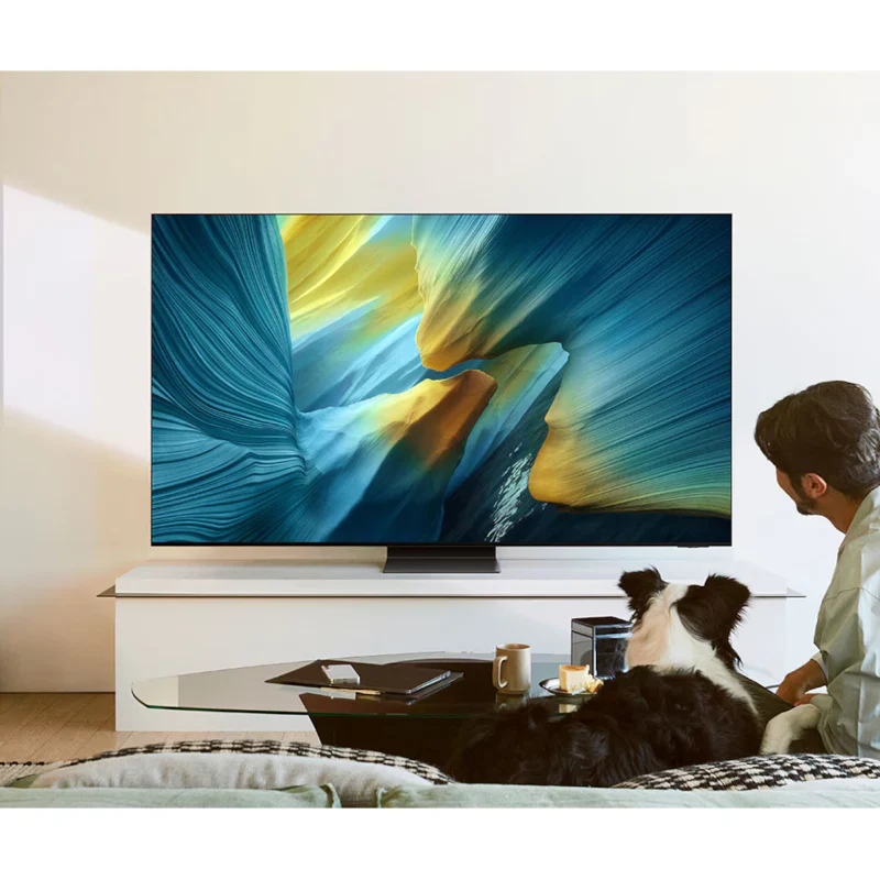 Samsung 77" OLED S95F 4K Samsung Vision AI Smart TV (2025) - 77" QLED 4K / 100Hz / USB / HDMI / LAN / Titan Black - Image 5